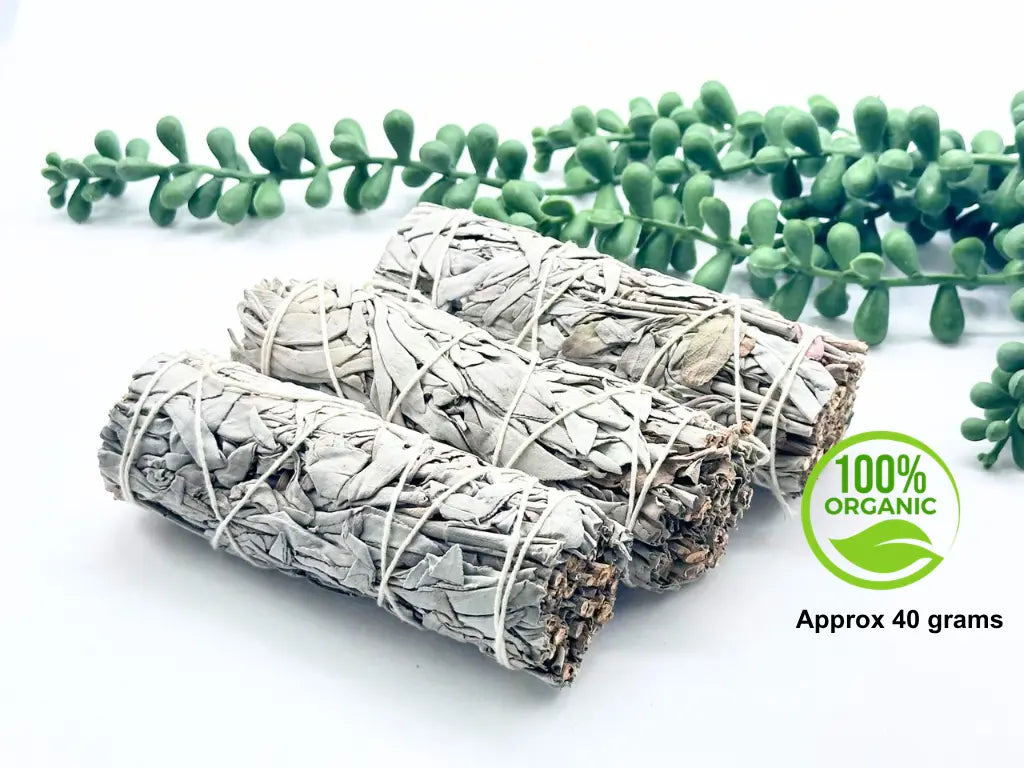 Close-up of dried organic white sage leaves in a hand-tied cleansing bundle