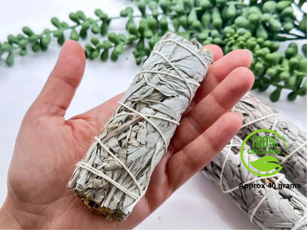 Organic 4-inch white sage cleansing bundle hand-tied for spiritual and ritual use