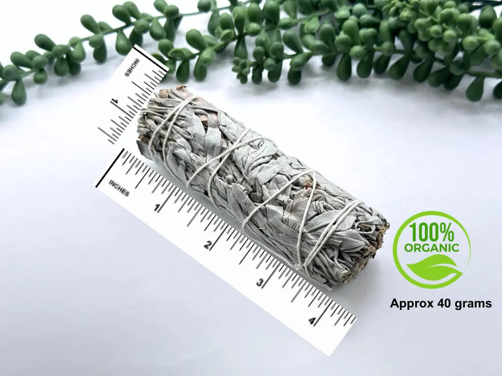 Hand-tied organic white sage bundle approximately 4 inches long