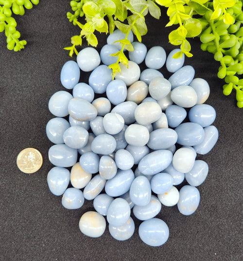 Angelite Polished Tumbles