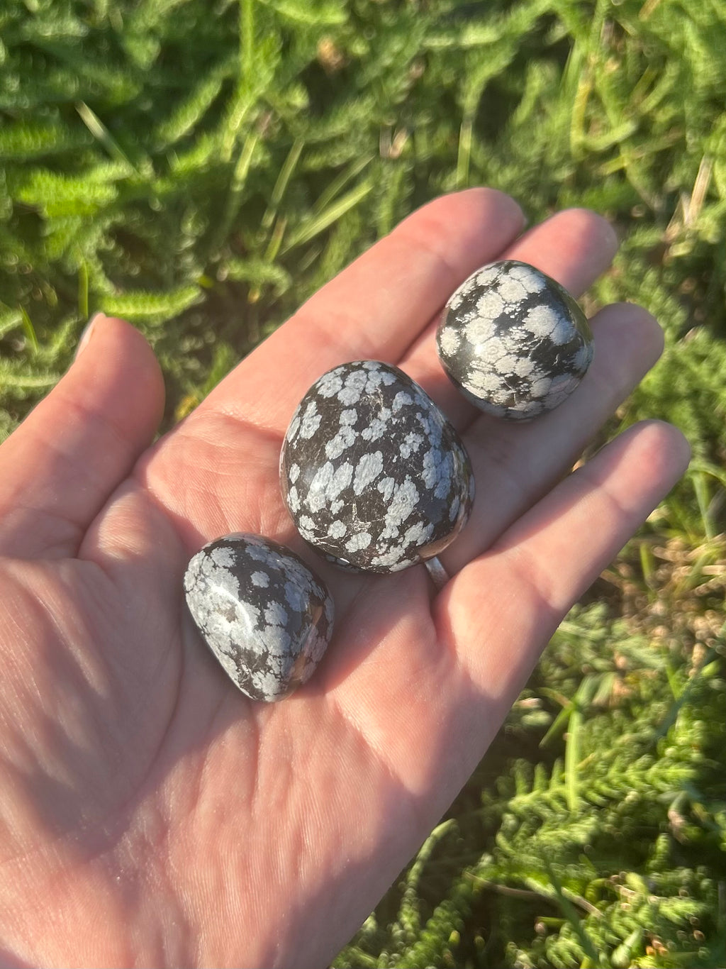 Snowflake Obsidian Tumbled Stones