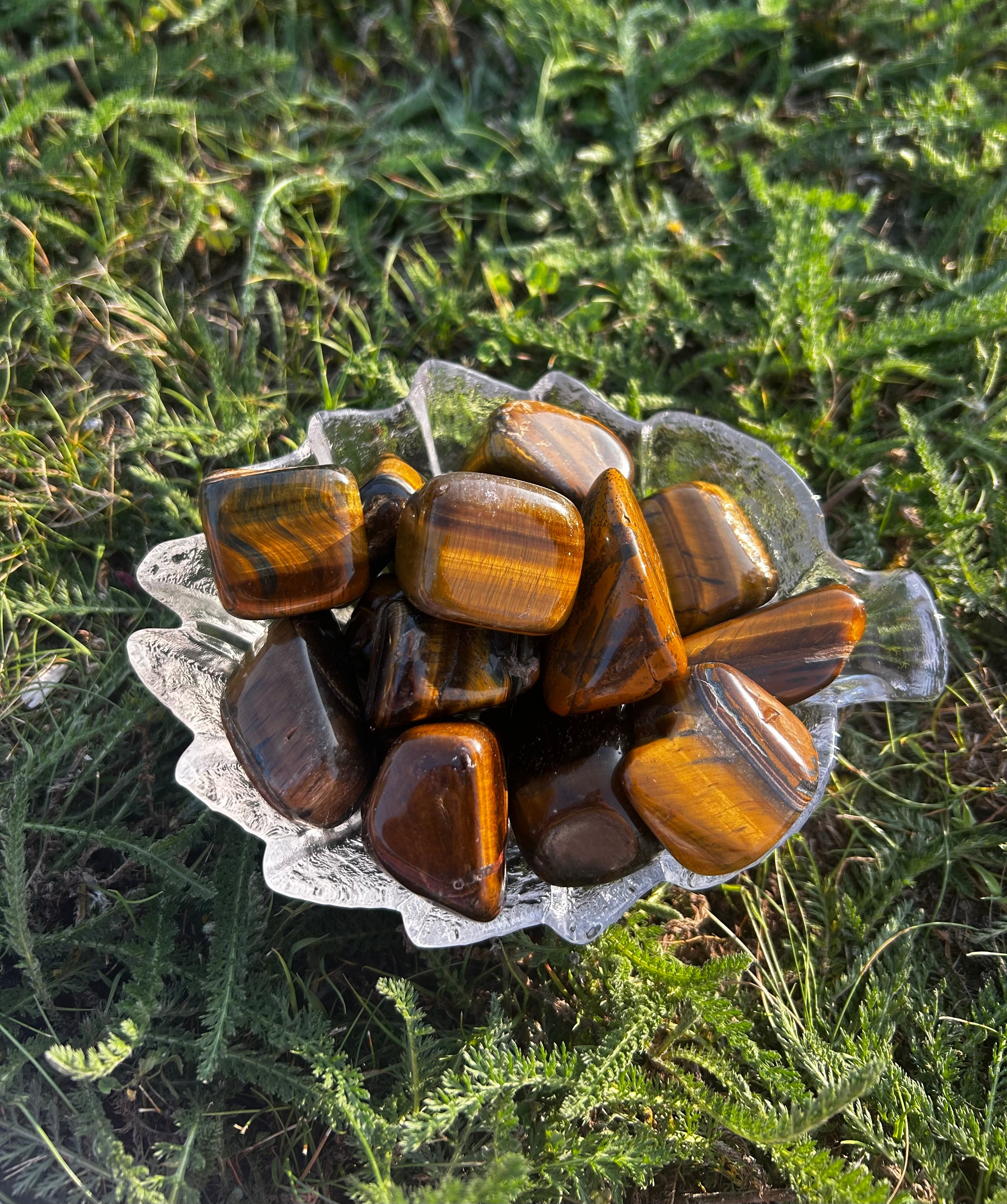 Yellow Tiger Eye tumbled stone with golden and honey brown coloring
