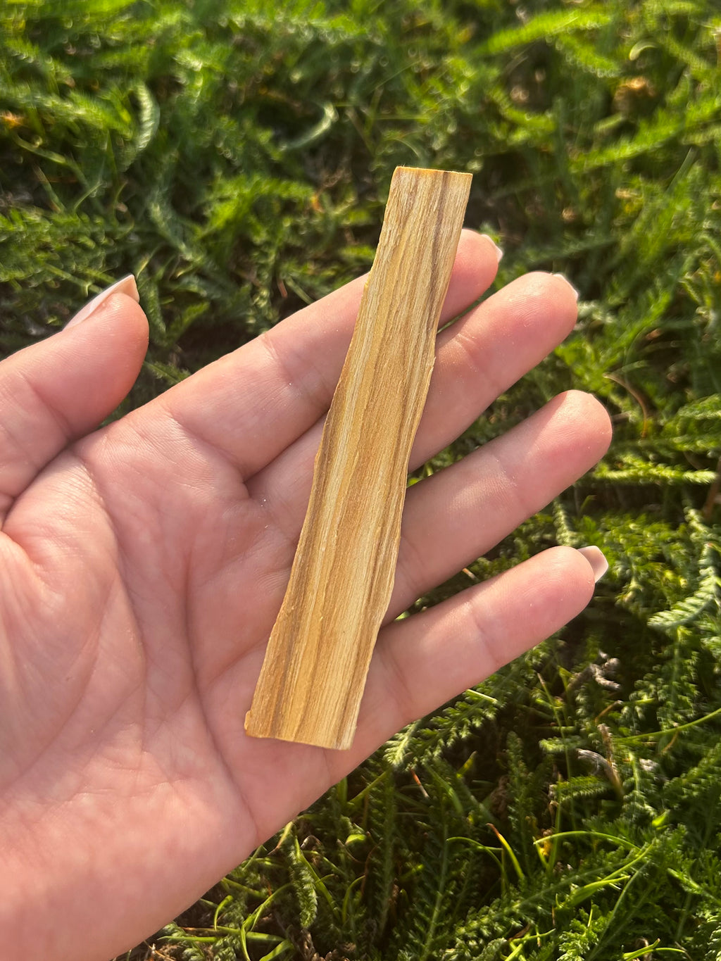 Palo Santo Sticks
