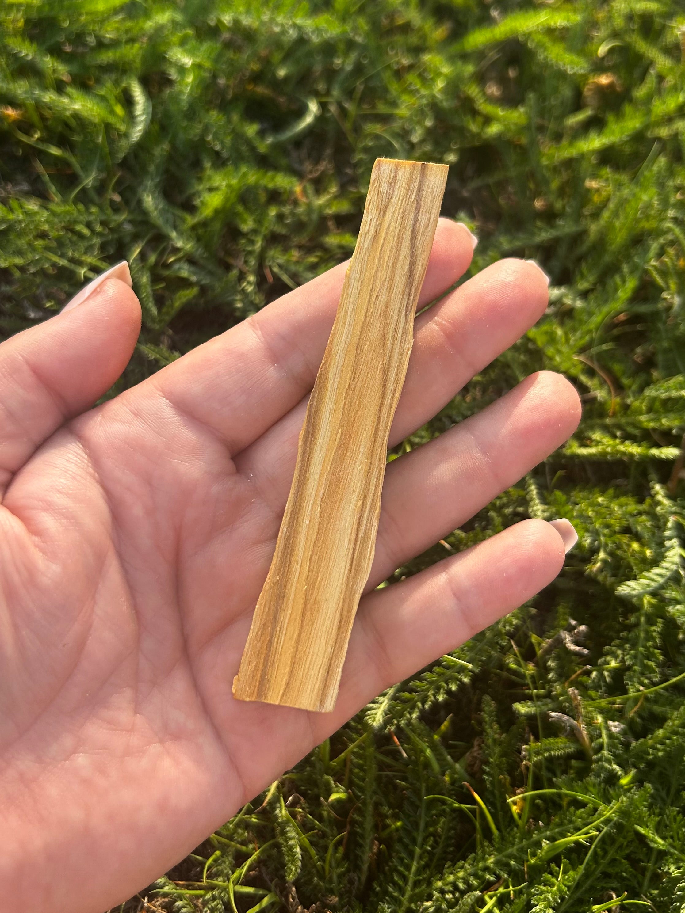 Palo Santo Sticks