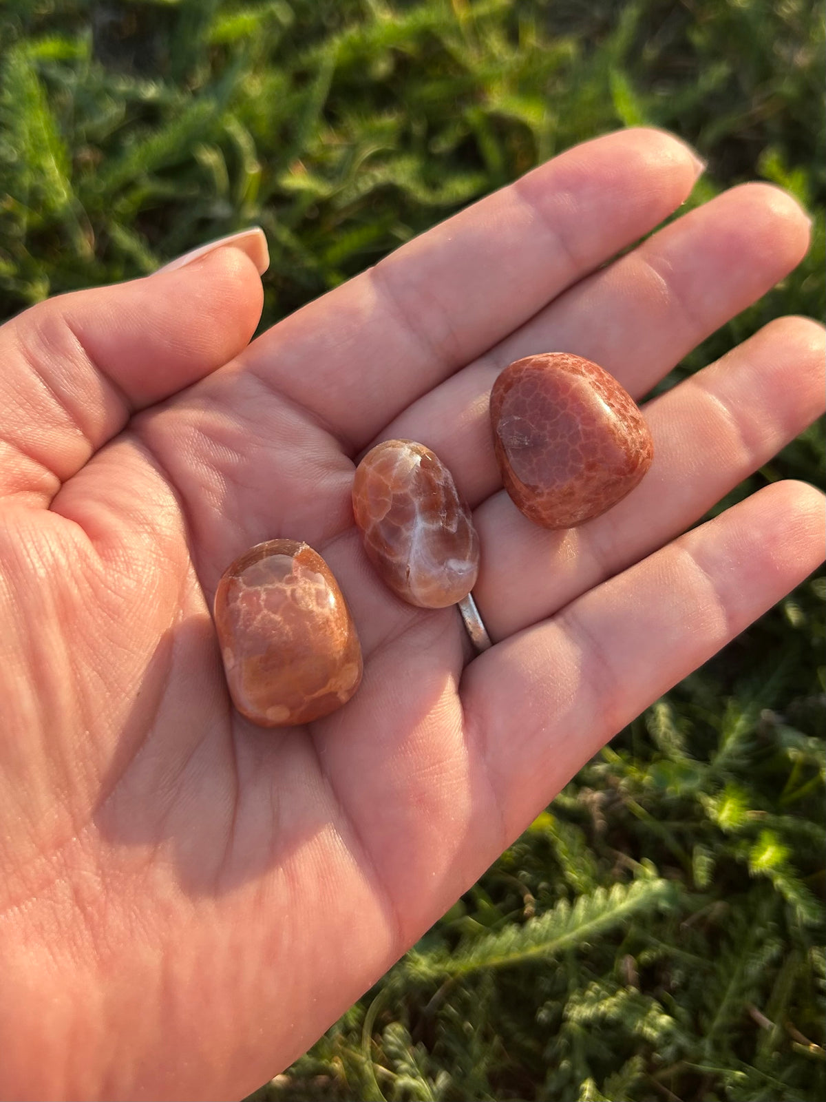 Polished Fire Agate tumbled stone with earthy brown and golden tones