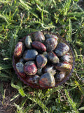 Natural Dragon Bloodstone tumbled stones with red and burgundy markings