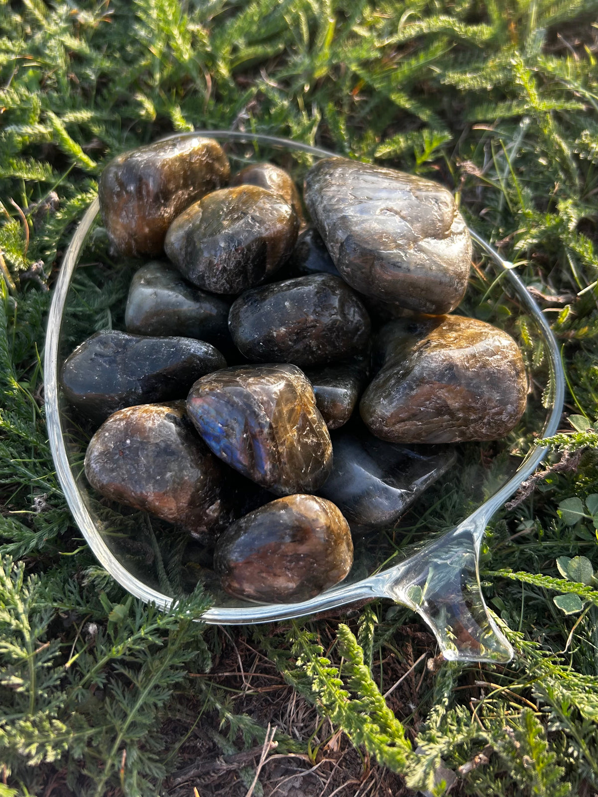 Polished Labradorite tumbled stone showing natural labradorescence