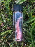 Squid Tentacle Wet Specimen | Oddity & Curiosity Collection