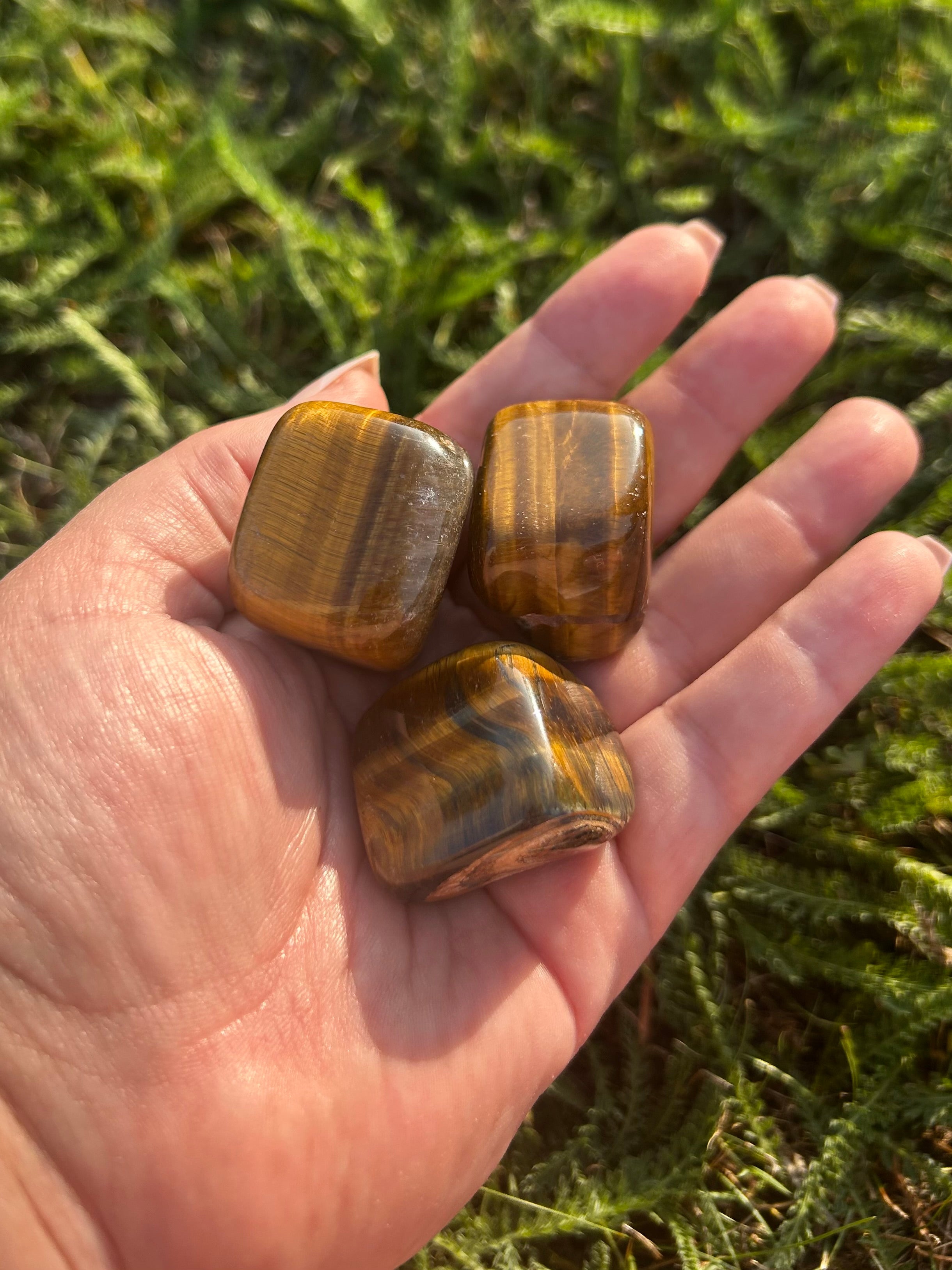 Close-up of Yellow Tiger Eye crystal showing silky golden shimmer