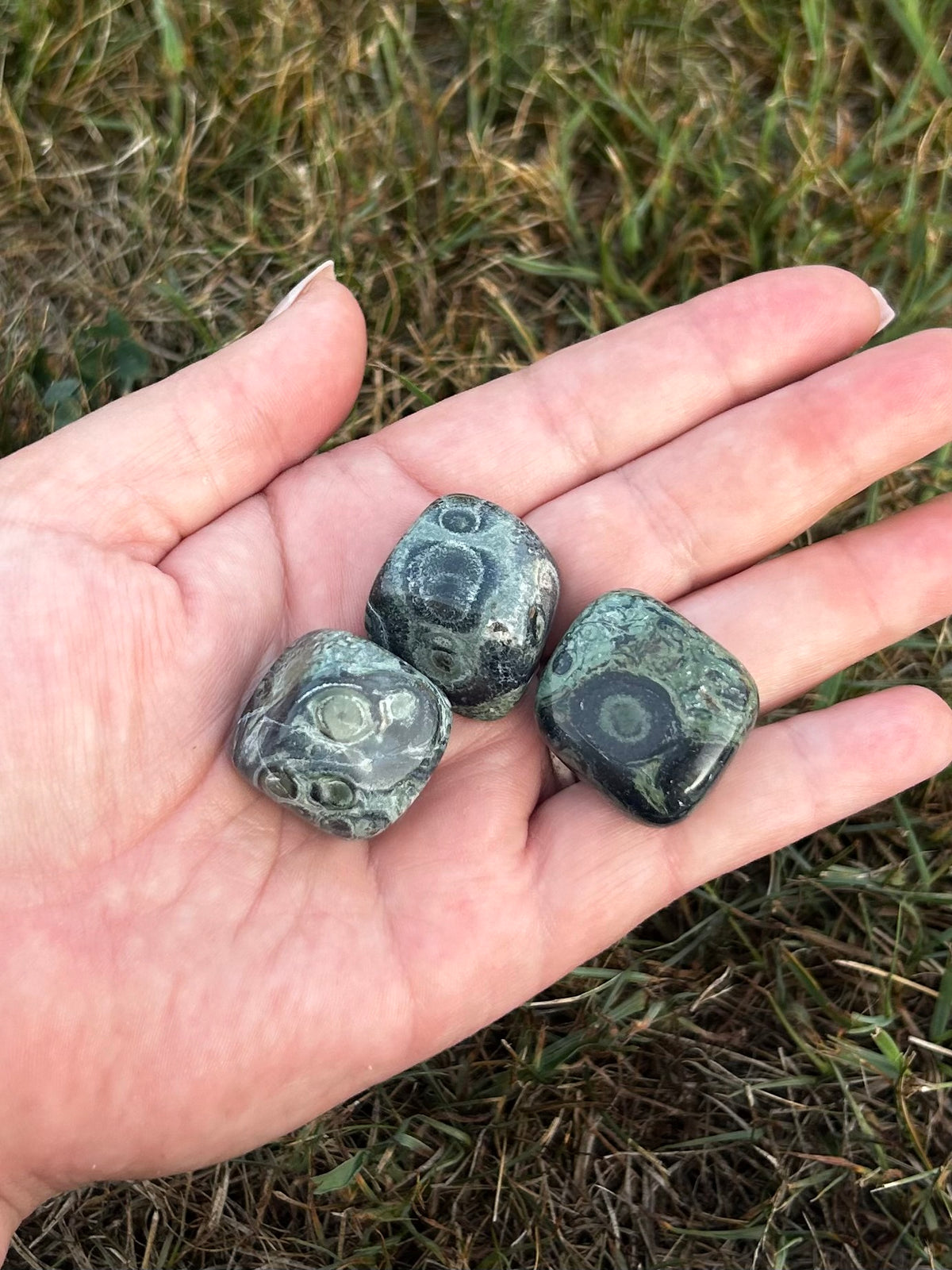 Close-up of Kambaba Jasper tumbled stone with distinctive orb-like patterns