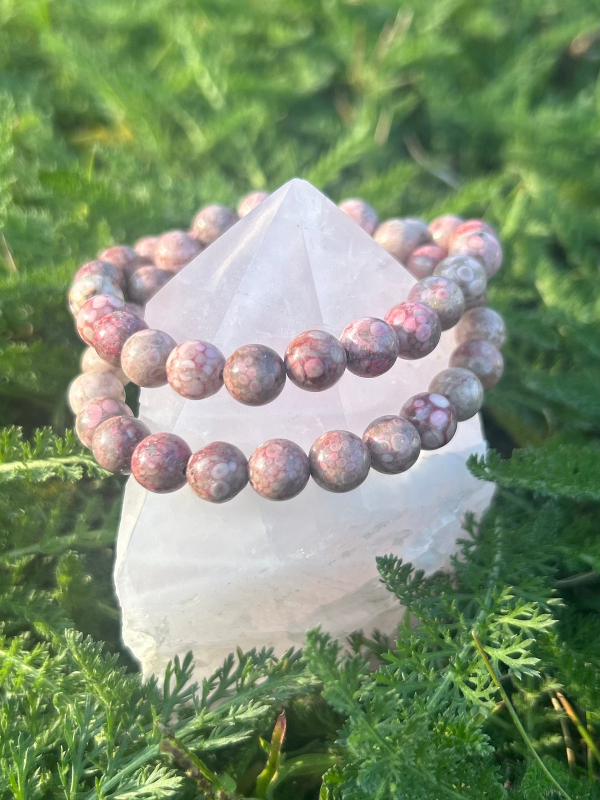 Chrysanthemum Stone Bracelet | 8mm Natural Gemstone