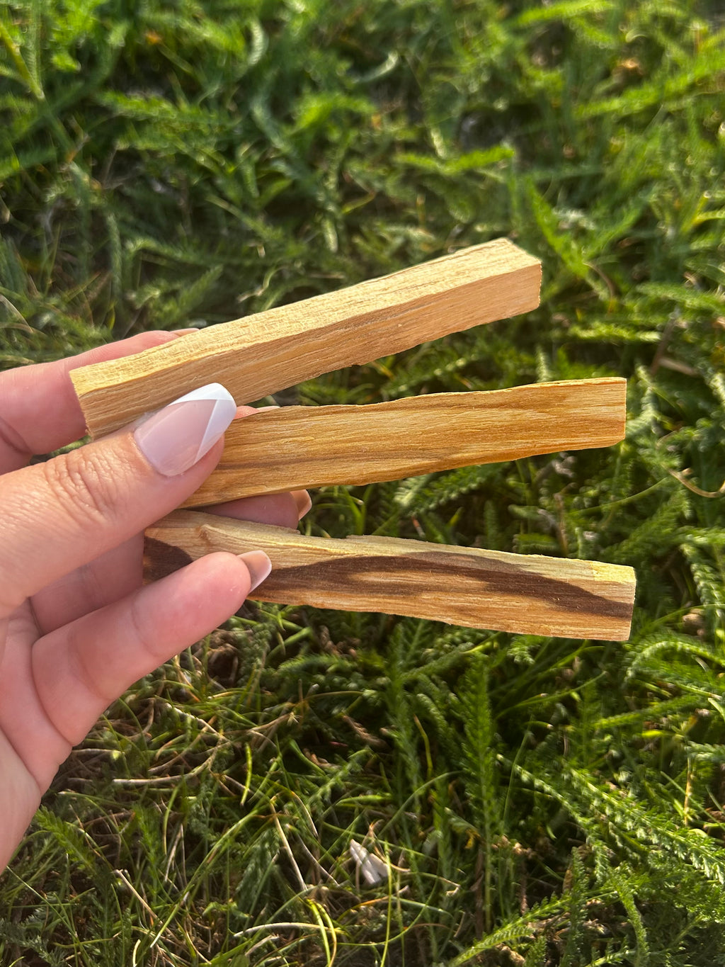 Palo Santo Sticks